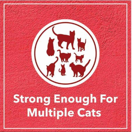 Drools Lavender Scented Clumping Cat Litter