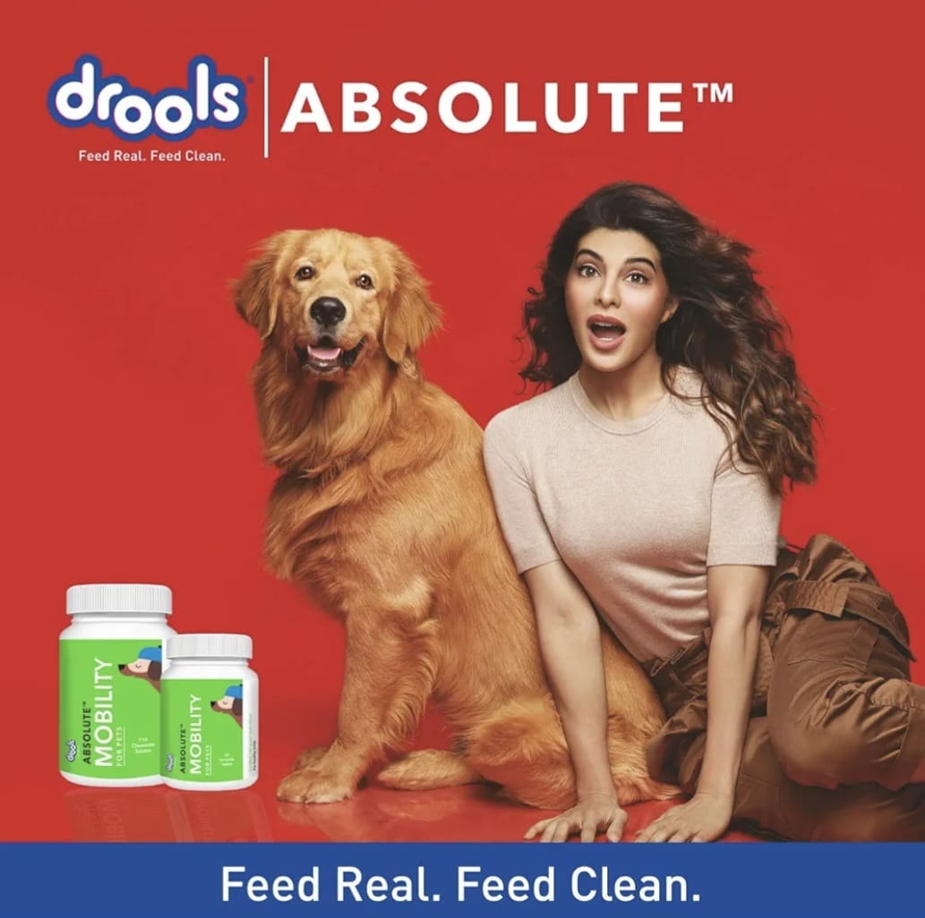 Drools Absolute Mobility Supplement Tablets for Pets