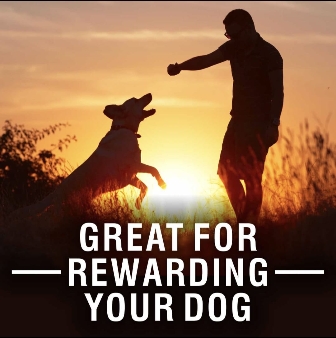 Purepet Milk Flavor Biscuit Dog