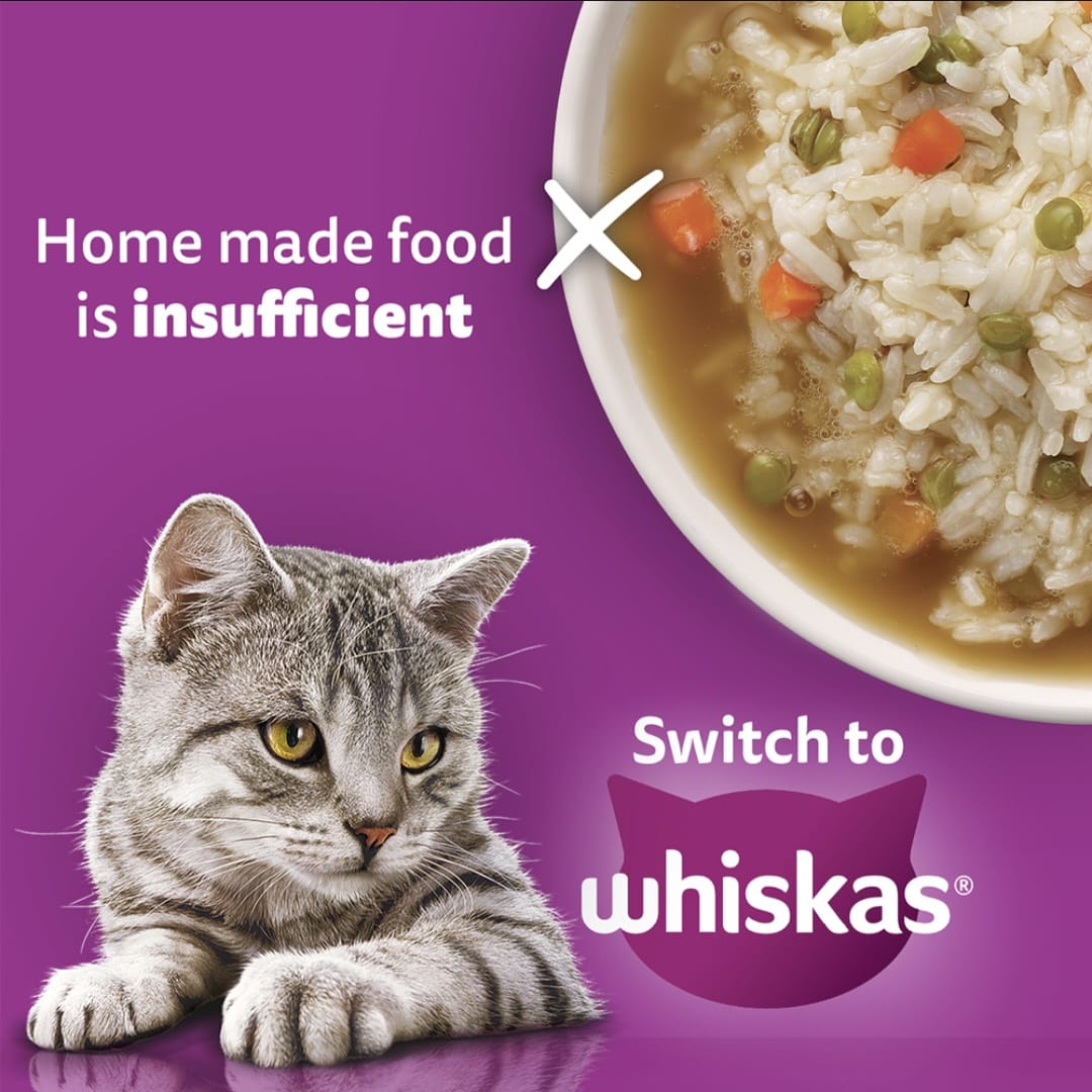 Whiskas Mackerel Flavour Adult Cat Dry Food