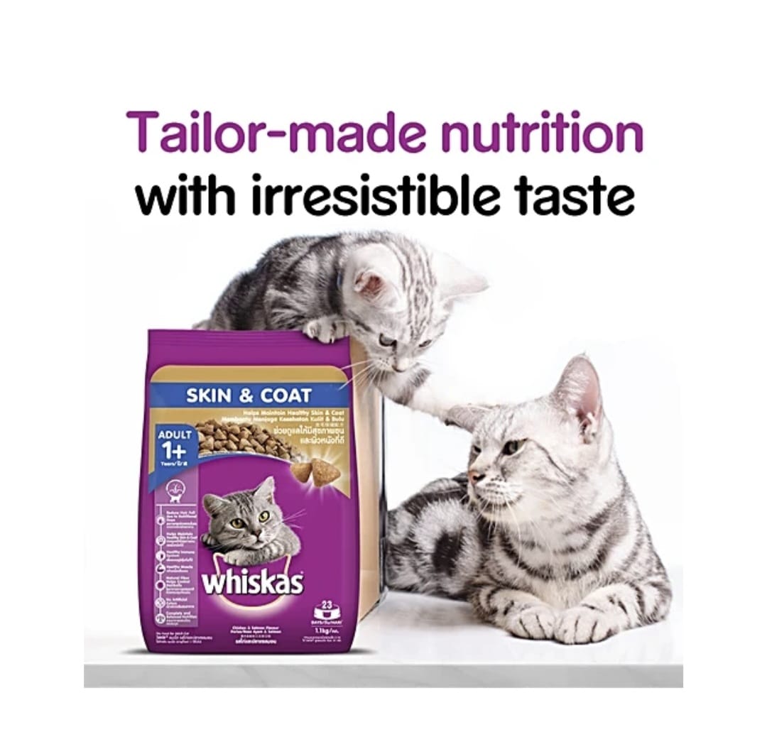 Whiskas Skin & Coat Adult Cat Dry Food Active