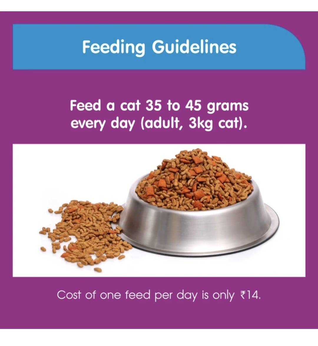 Whiskas Hairball Control Adult Cat Dry Food Active