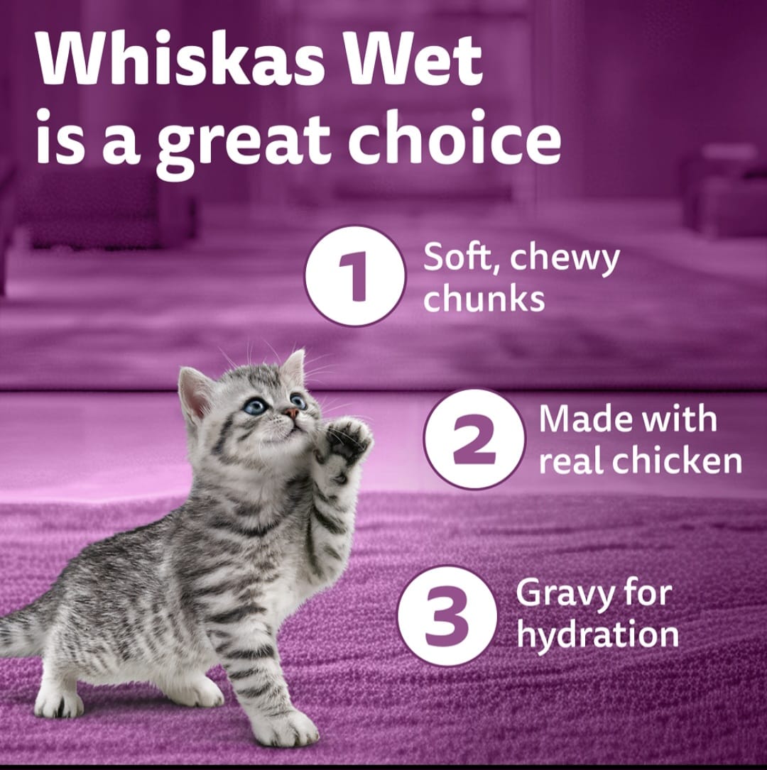 Whiskas Tuna in Jelly for Junior Cat (2-12Months)