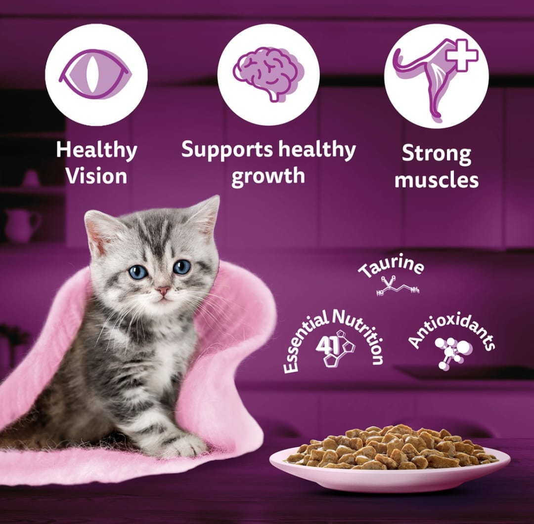 Whiskas Chicken in Gravy for Adult Cat (1+ Years)