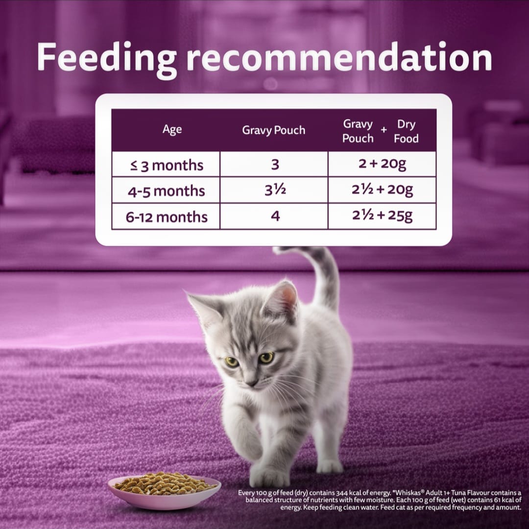 Whiskas Chicken in Gravy for Junior Cat (2-12Months)