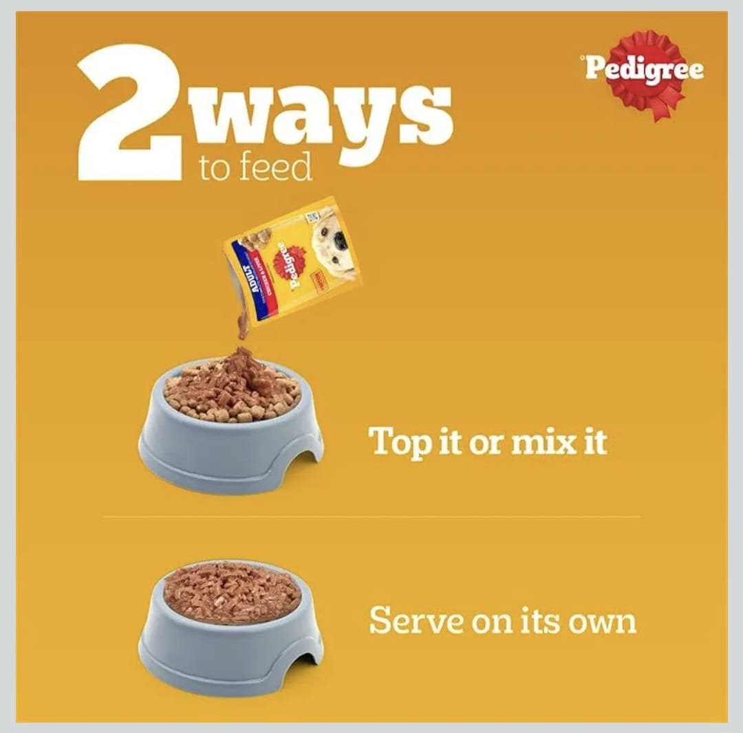 Pedigree Chicken & Liver Chunks in Gravy Wet Food for Adult Dogs