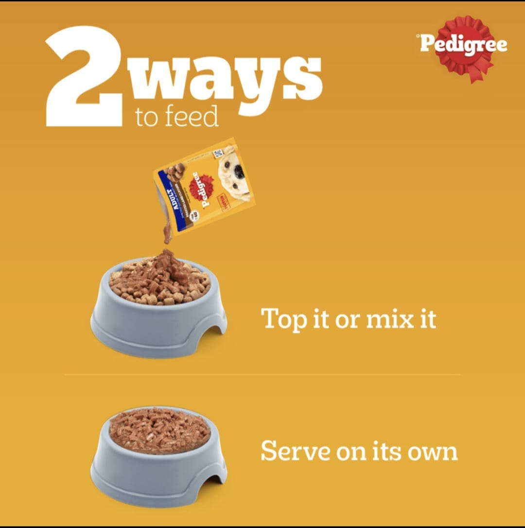 Pedigree Roasted Lamb Flavour Chunks in Gravy Wet Food for Adult Dogs