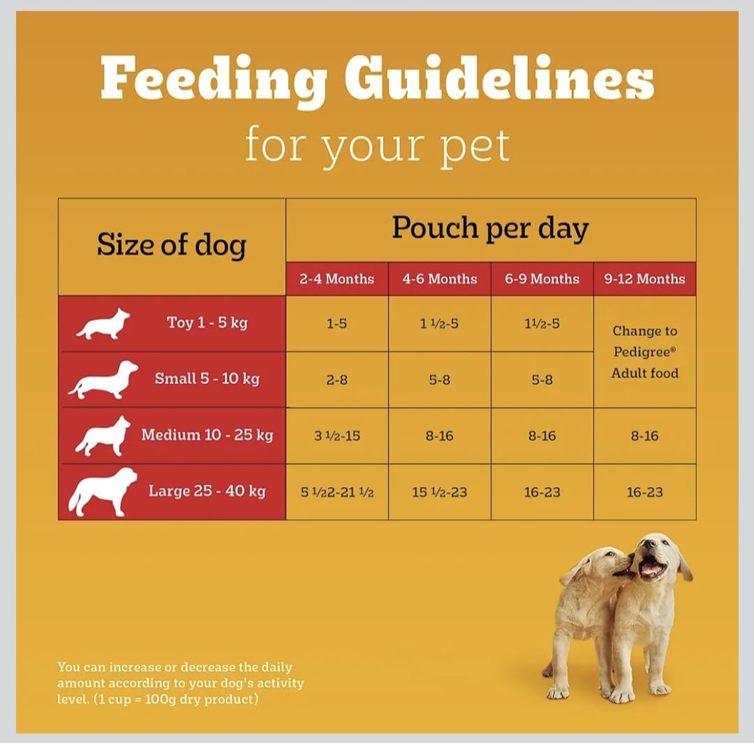 Pedigree Chicken & Liver Chunks in Gravy Wet Food for Puppy Dogs