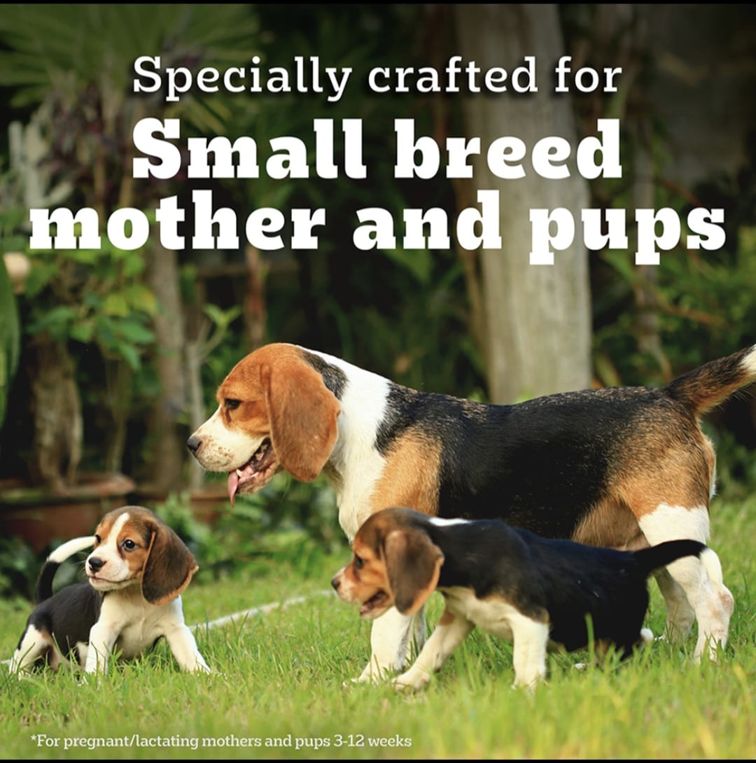 Pedigree Pro Mother & Pup Starter Small Breed Dog Dry Food