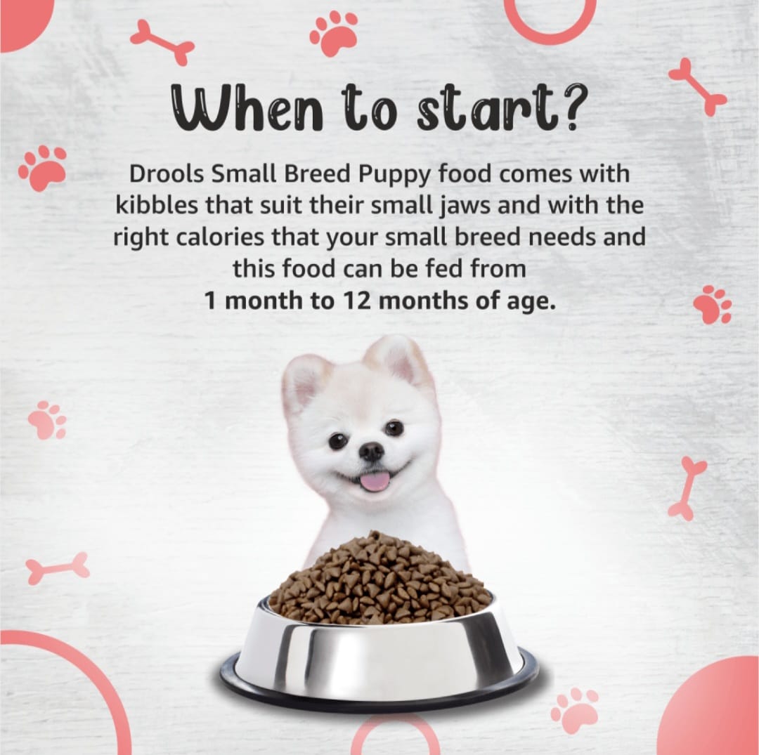Drools Premium Small Bride Puppy Dog Dry Food