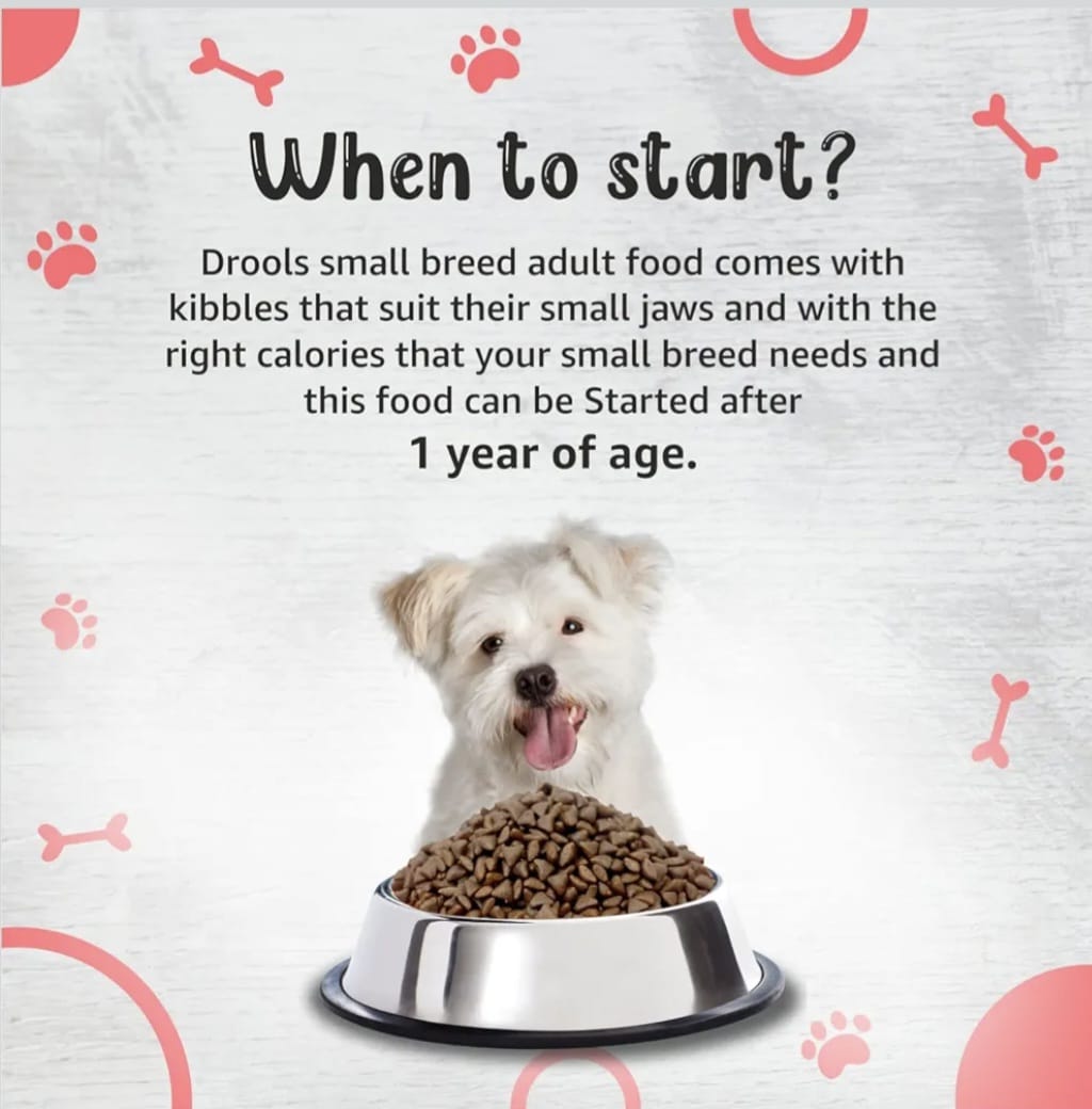 Drools Premium Small Bride Adult Dog Dry Food