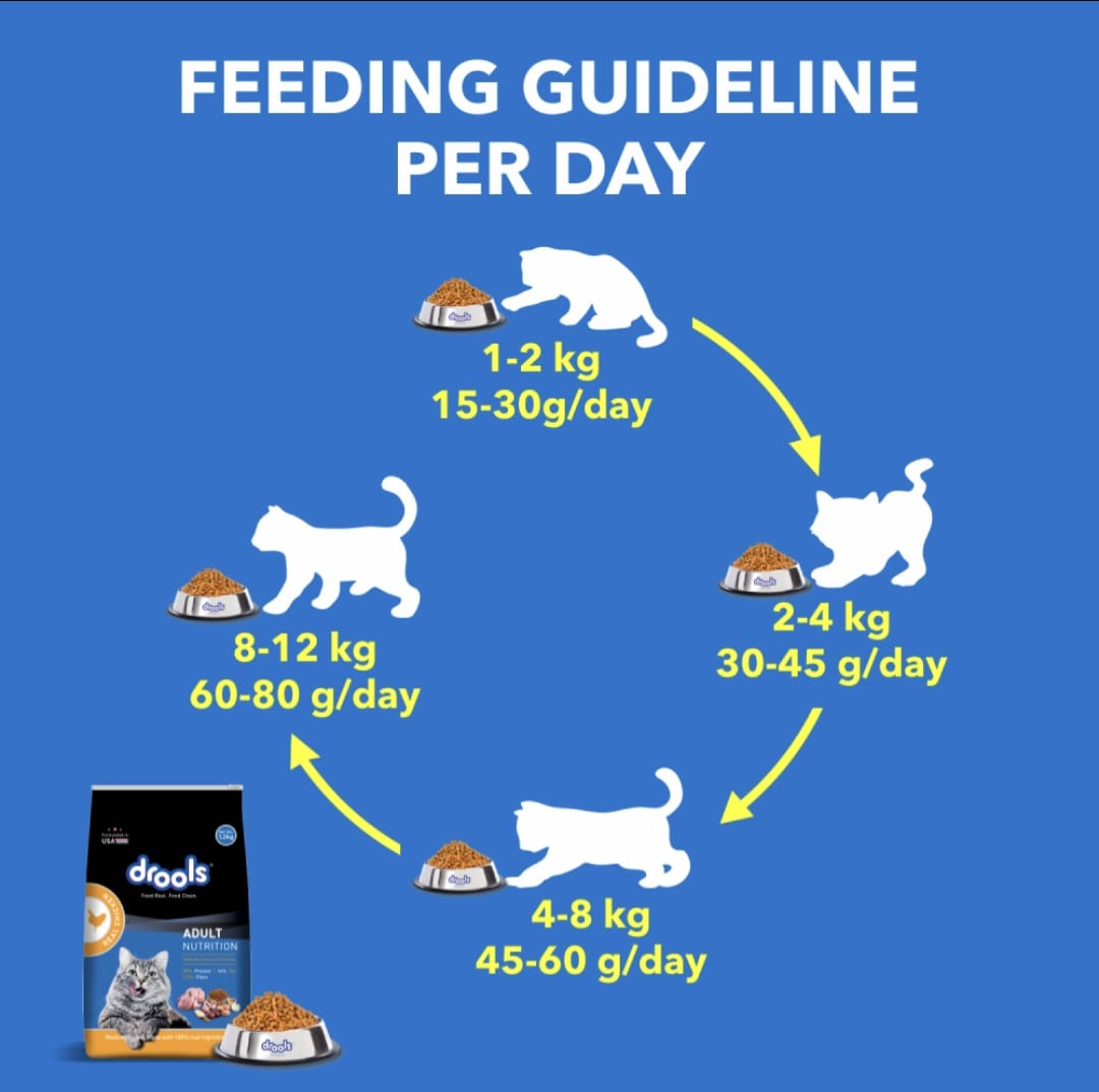 Drools Real Chicken Adult Cat Dry Food