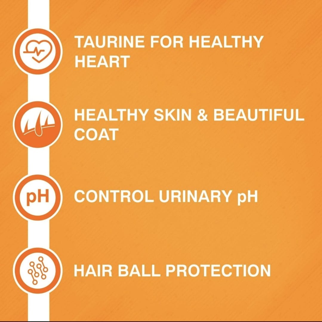 Purepet Kitten Tuna and Salmon Cat Dry Food