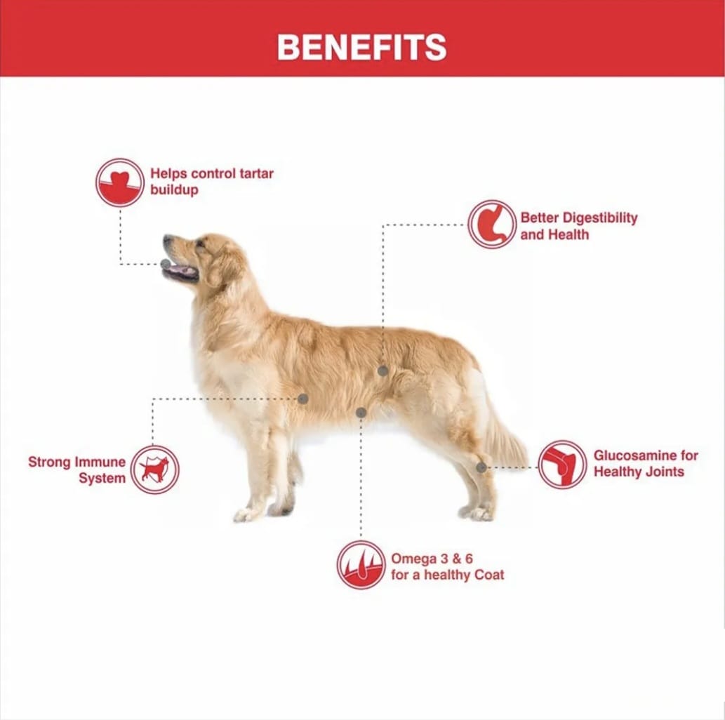 Drools Real Chicken Sausage Dog Food