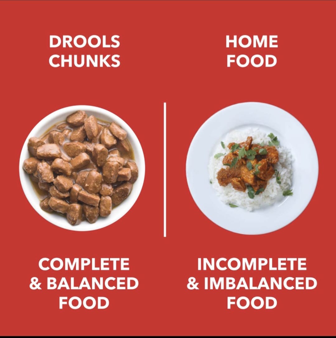 Drools Real Chicken & Chicken Liver Chunks in Gravy Puppy Dog Wet Food