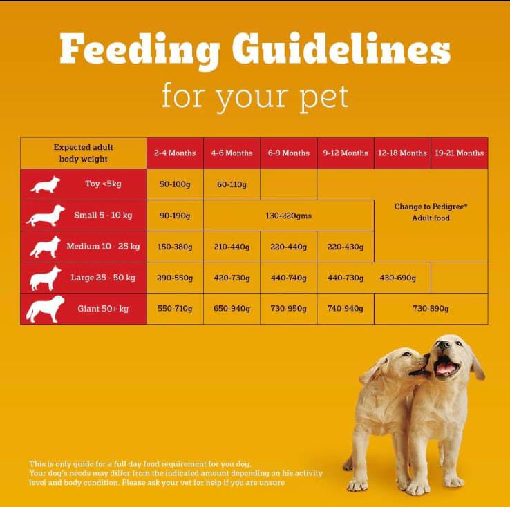 Pedigree Meat & Milk Puppy Dog Dry Food