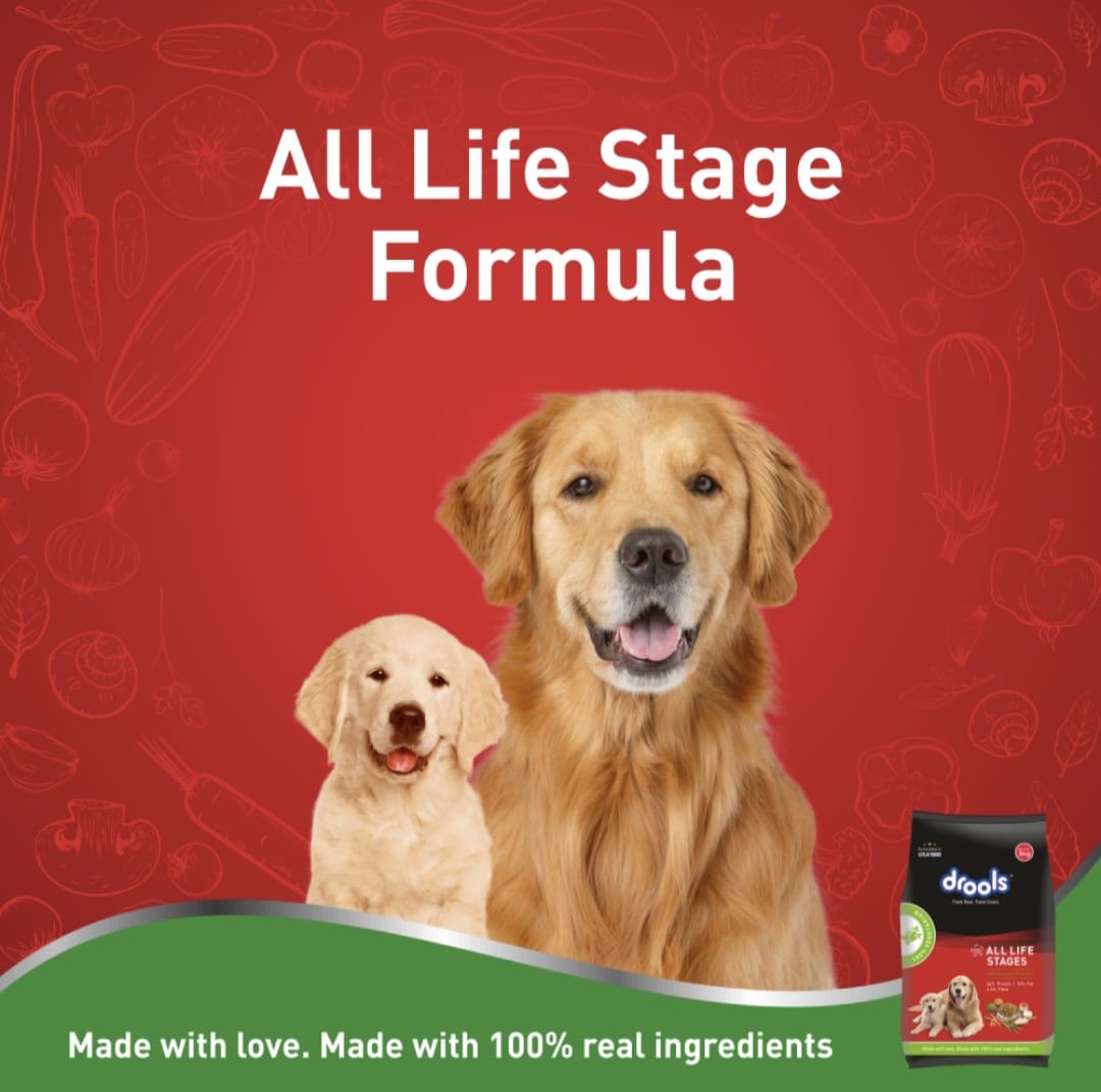 Drools 100% Vegetarian Puppy and Adult Dog Veg Dry Food (All Life Stages)