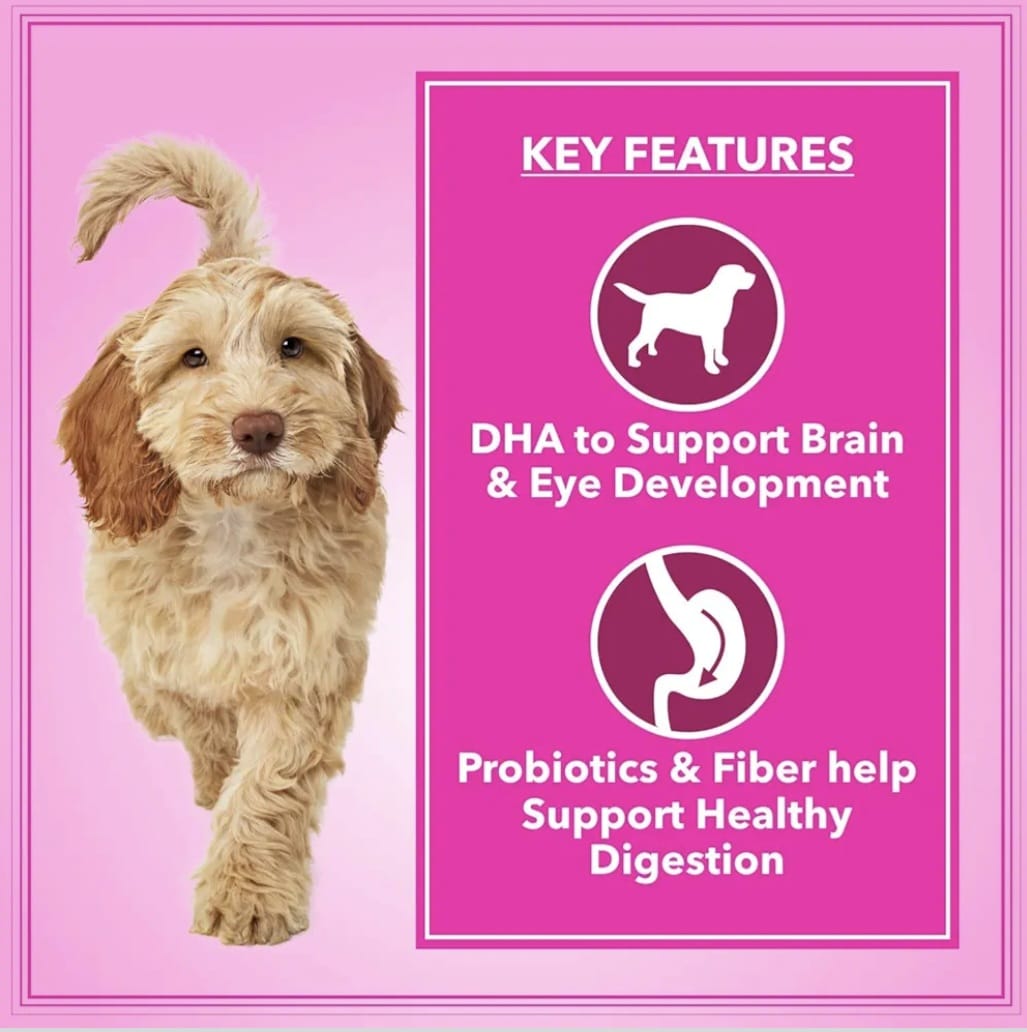 Drools Let's Bite Active Adult Chicken Dry Food