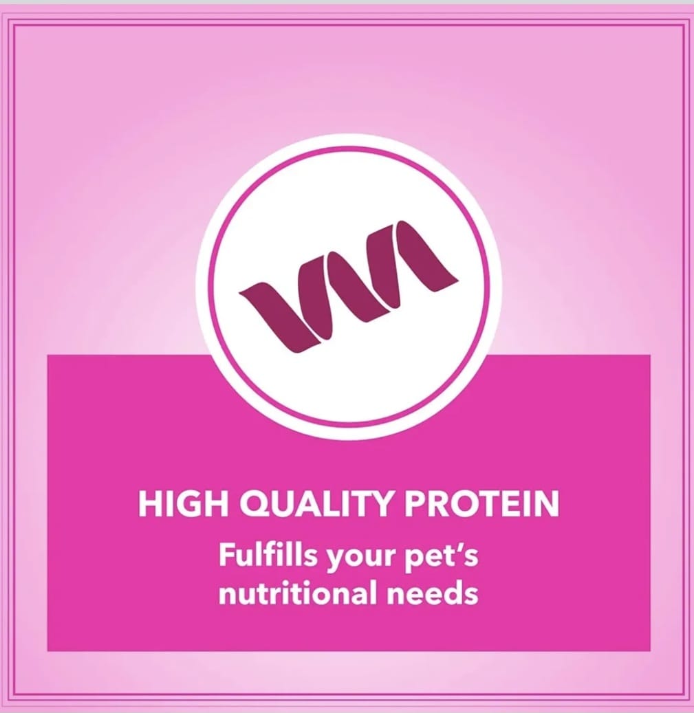 Drools Let's Bite Active Adult Chicken Dry Food