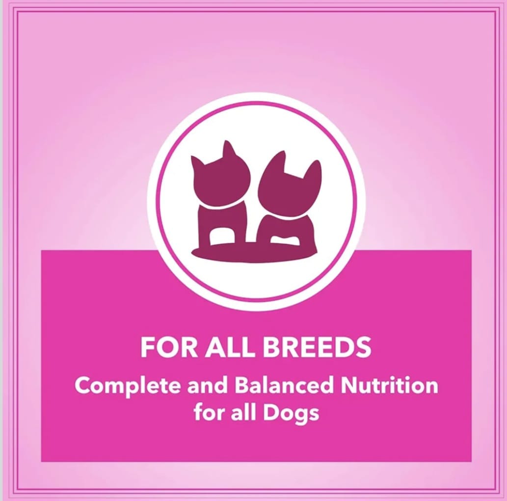 Drools Let's Bite Active Adult Chicken Dry Food