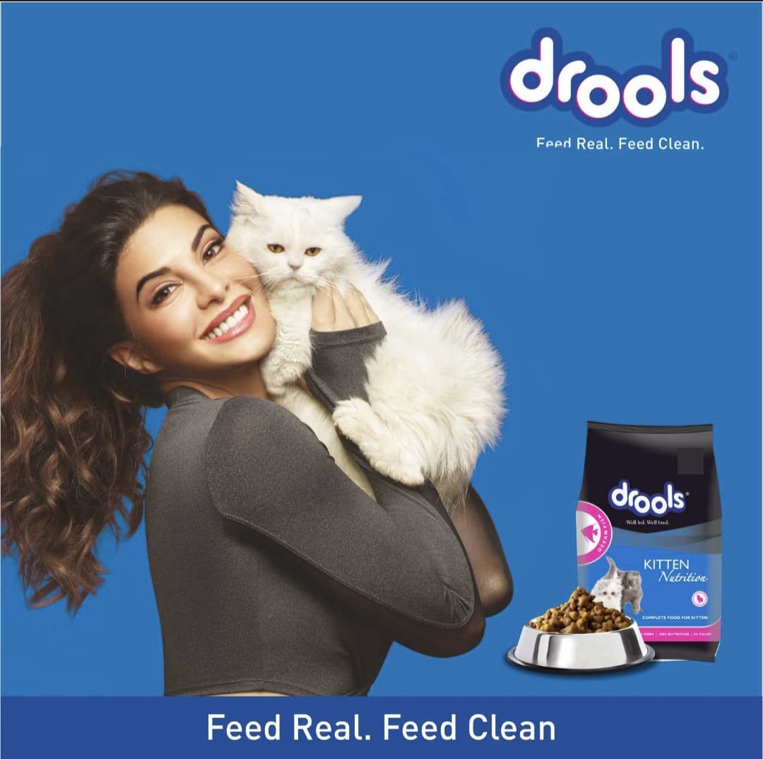 Drools Ocean Fish Kitten Cat Dry Food