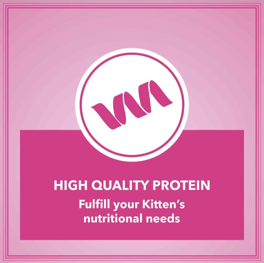 Let's Bite Active Kitten Ocean Fish Cat Dry Food(Buy 1 Get 1 Free)