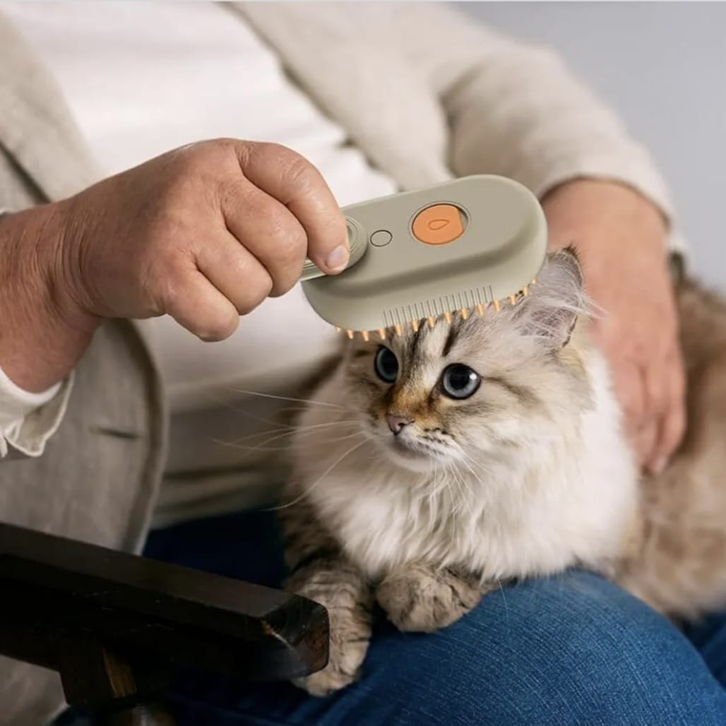 Electric Steam Cat Grooming Brush, 3-in-1 Cat Grooming Comb with Steam Spray, Rechargeable Cat Massage Brush for Long or Short Hair Cats (cream)