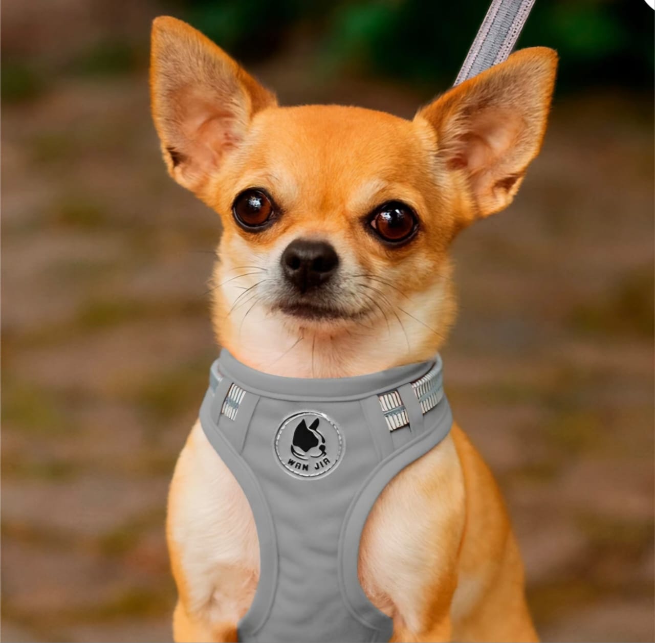 Comfort Soft Reflective Wrap Adjustable Dog Harness - No-Pull Dog Harness for Small & Large Dogs(0range)