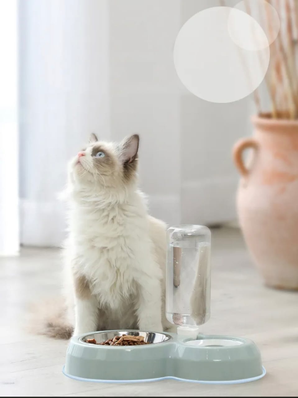 2-in-1 Cat Feeder with Stainless Steel Food Bowl and Automatic Water Dispenser Bottle- Pet Feeding Station for Cat & Dog