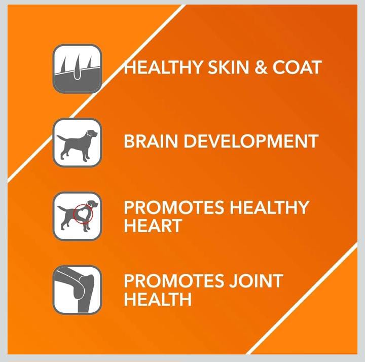 Drools Absolute Salmon Oil Syrup-Dog Supplement