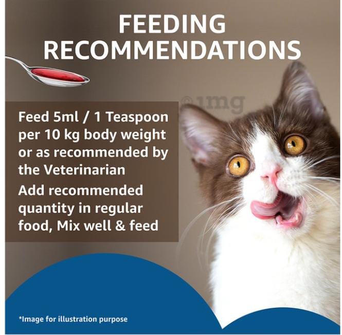 Drools Absolute Syrup Salmon Oil for Cats