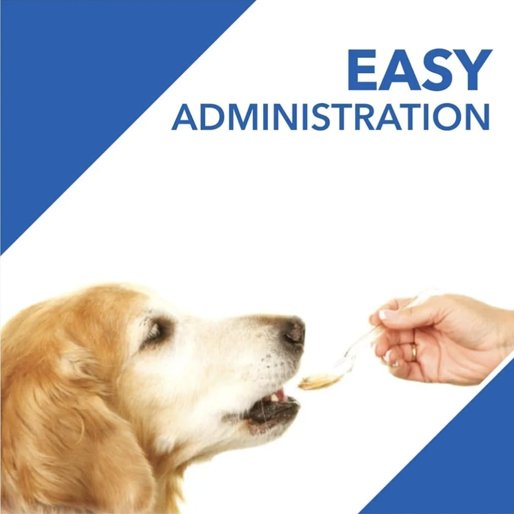 Drools absolute Vitamin supplements syrup for pets