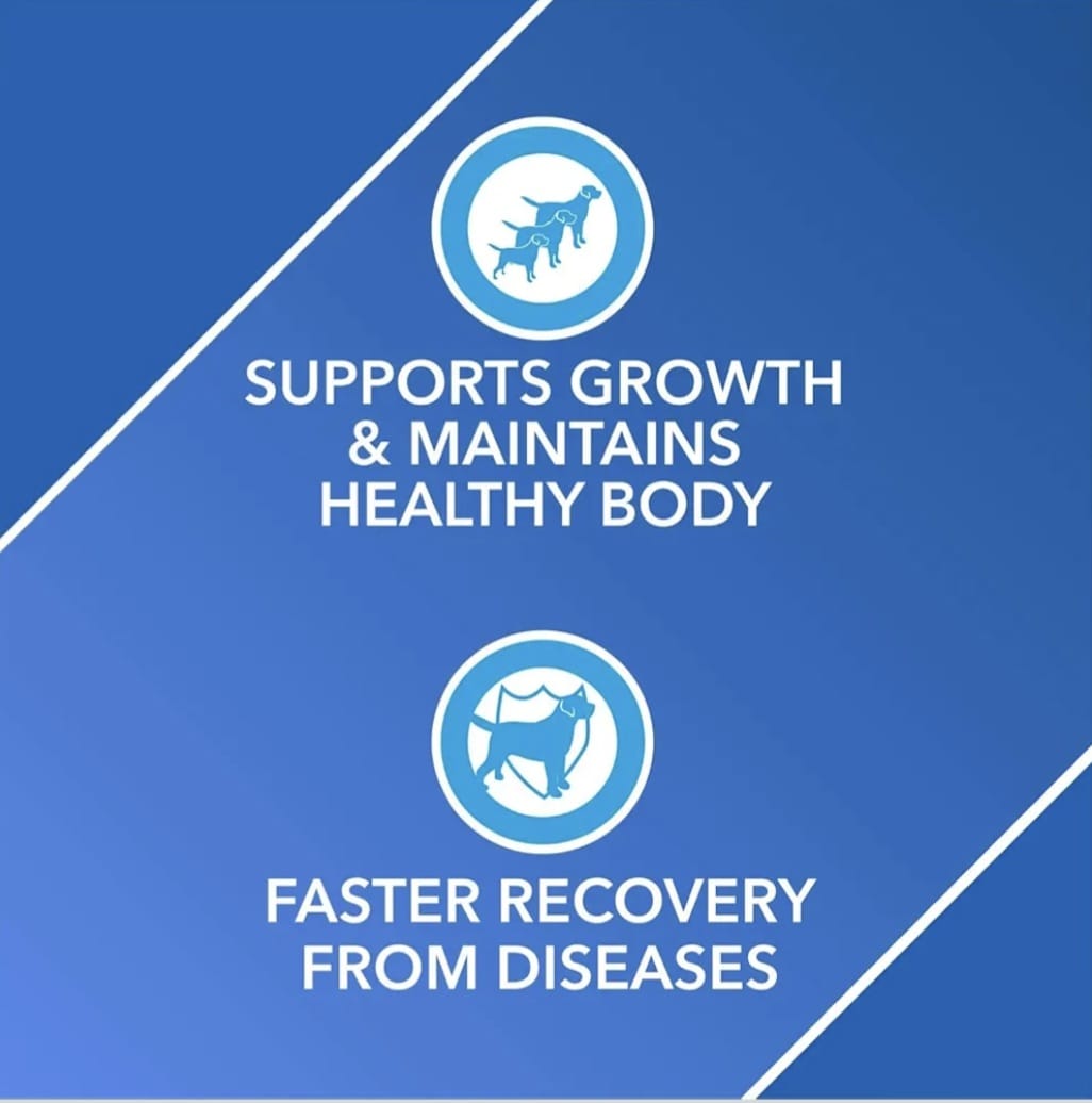 Drools absolute Vitamin supplements syrup for pets