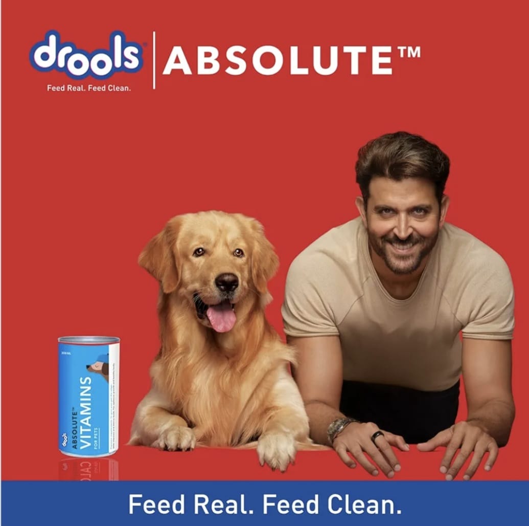 Drools absolute Vitamin supplements syrup for pets
