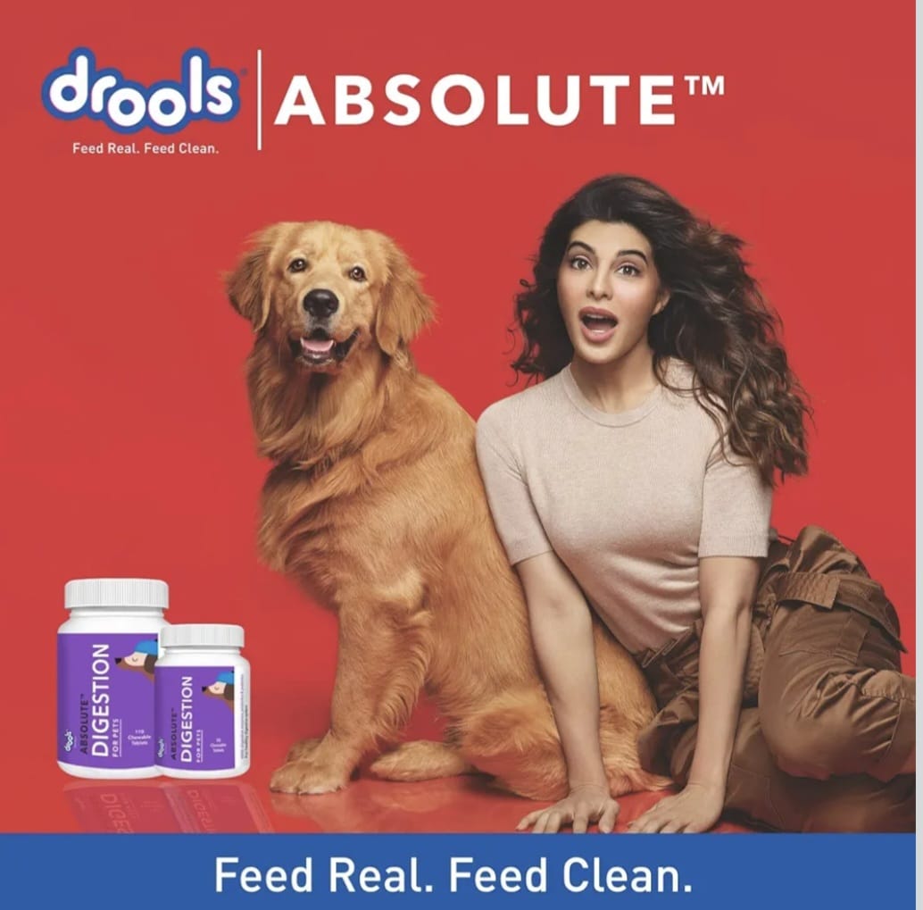 Drools Absolute Digestion Supplement Tablet for Pets