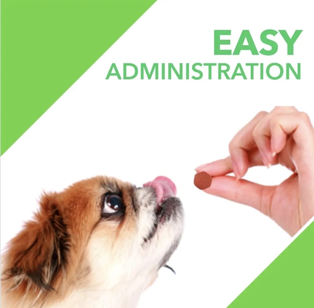 Drools Absolute Mobility Supplement Tablets for Pets