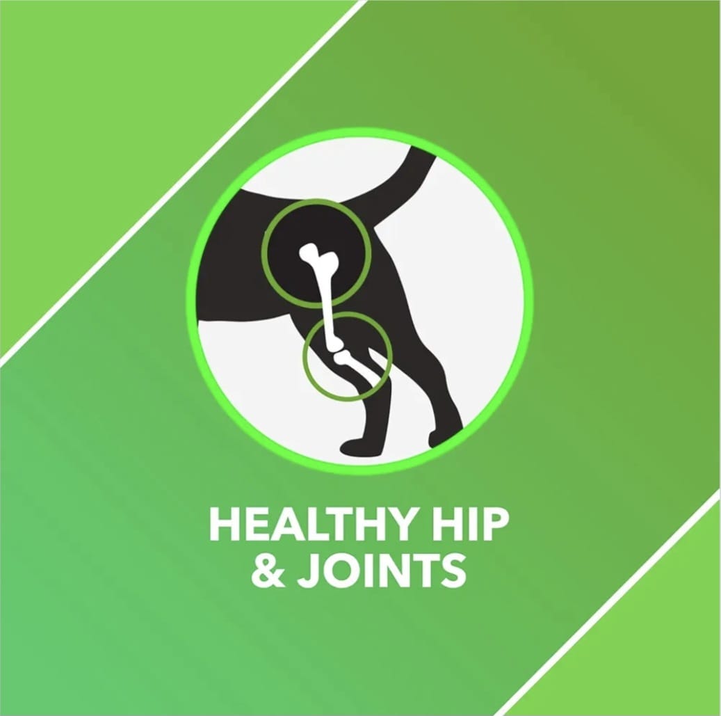 Drools Absolute Mobility Supplement Tablets for Pets