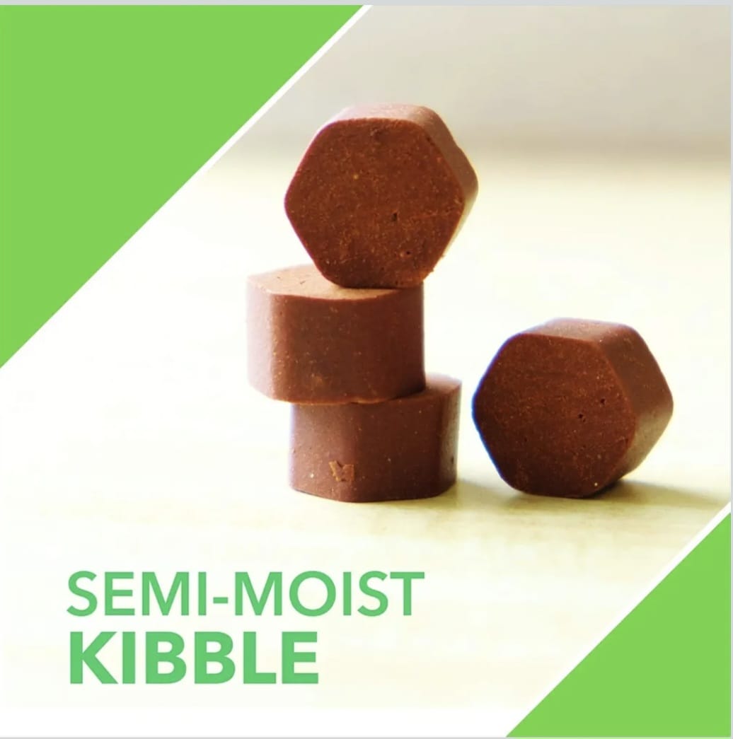 Drools Absolute Mobility Supplement Tablets for Pets