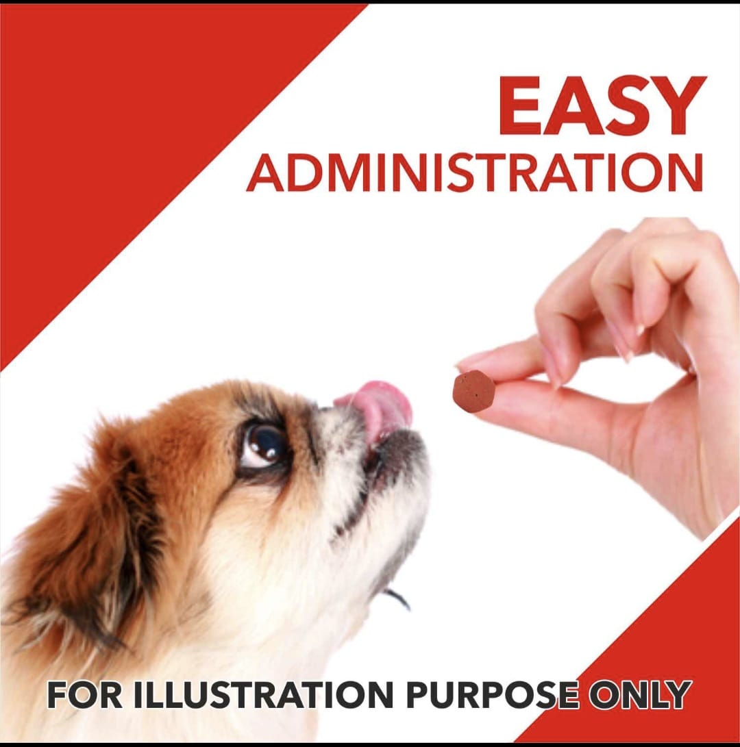 Drools Absolute Calcium Supplement Tablets for Pets