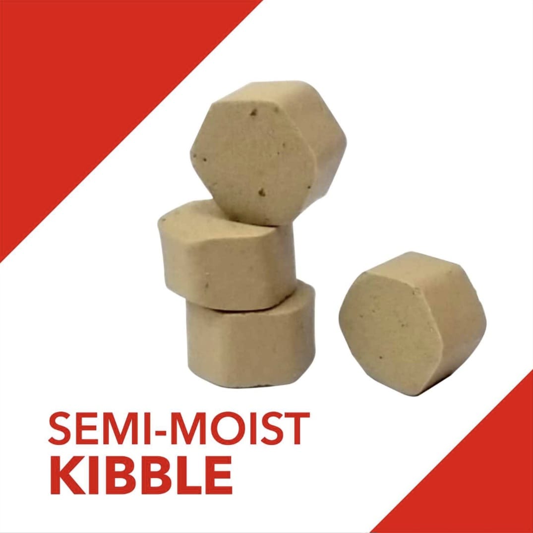 Drools Absolute Calcium Supplement Tablets for Pets