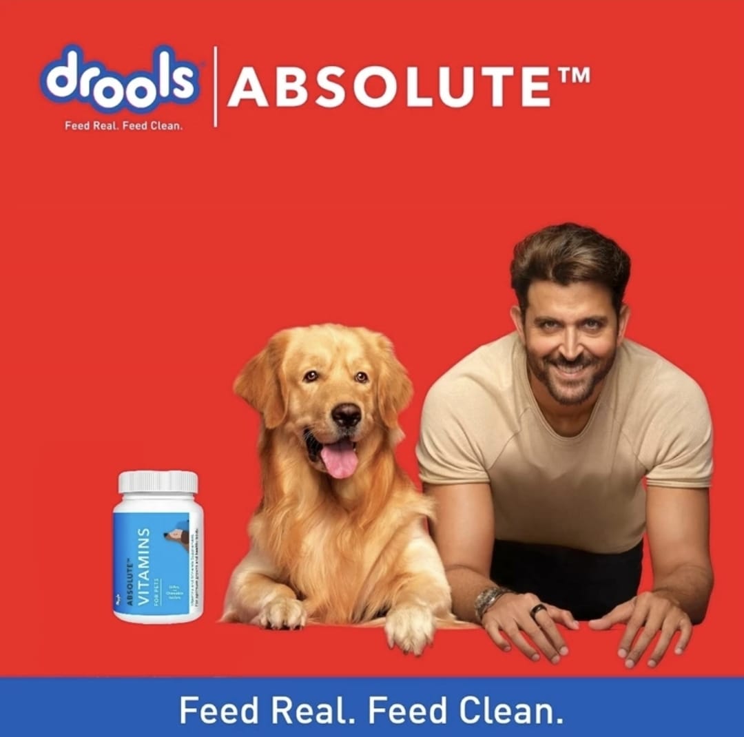 Drools Absolut Vitamin Supplement Tablets for Pets