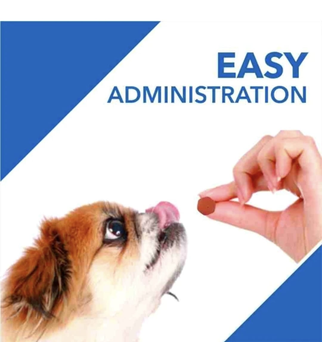 Drools Absolut Vitamin Supplement Tablets for Pets