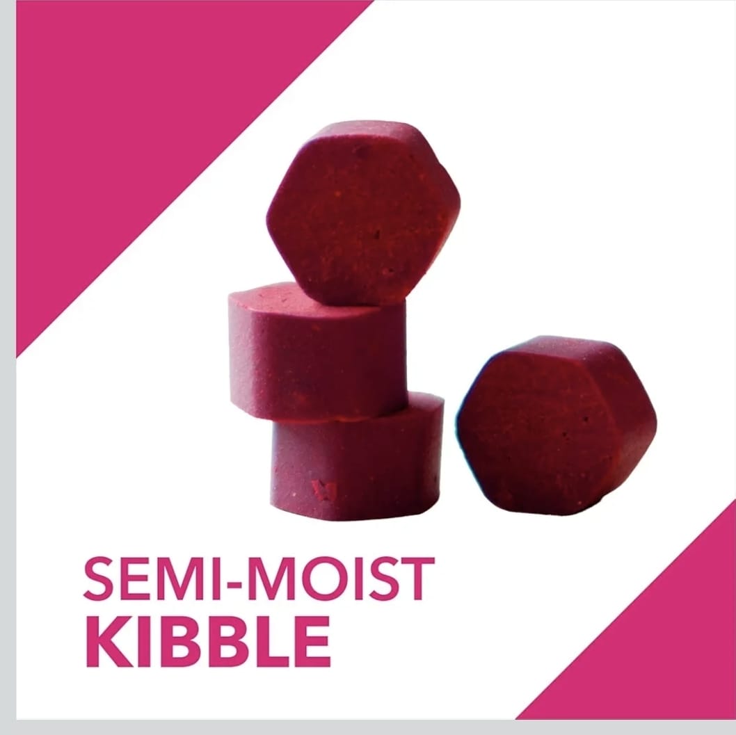 Drools Absolute Skin+ Coat Supplement Tablets for Pets