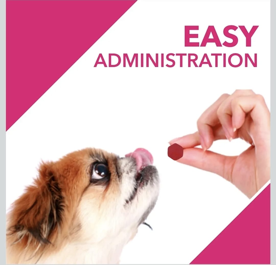 Drools Absolute Skin+ Coat Supplement Tablets for Pets