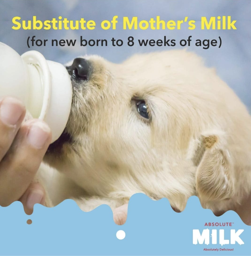 Drools Absolute Liquid Mik for Newborn Puppy Dod, 500G Pack