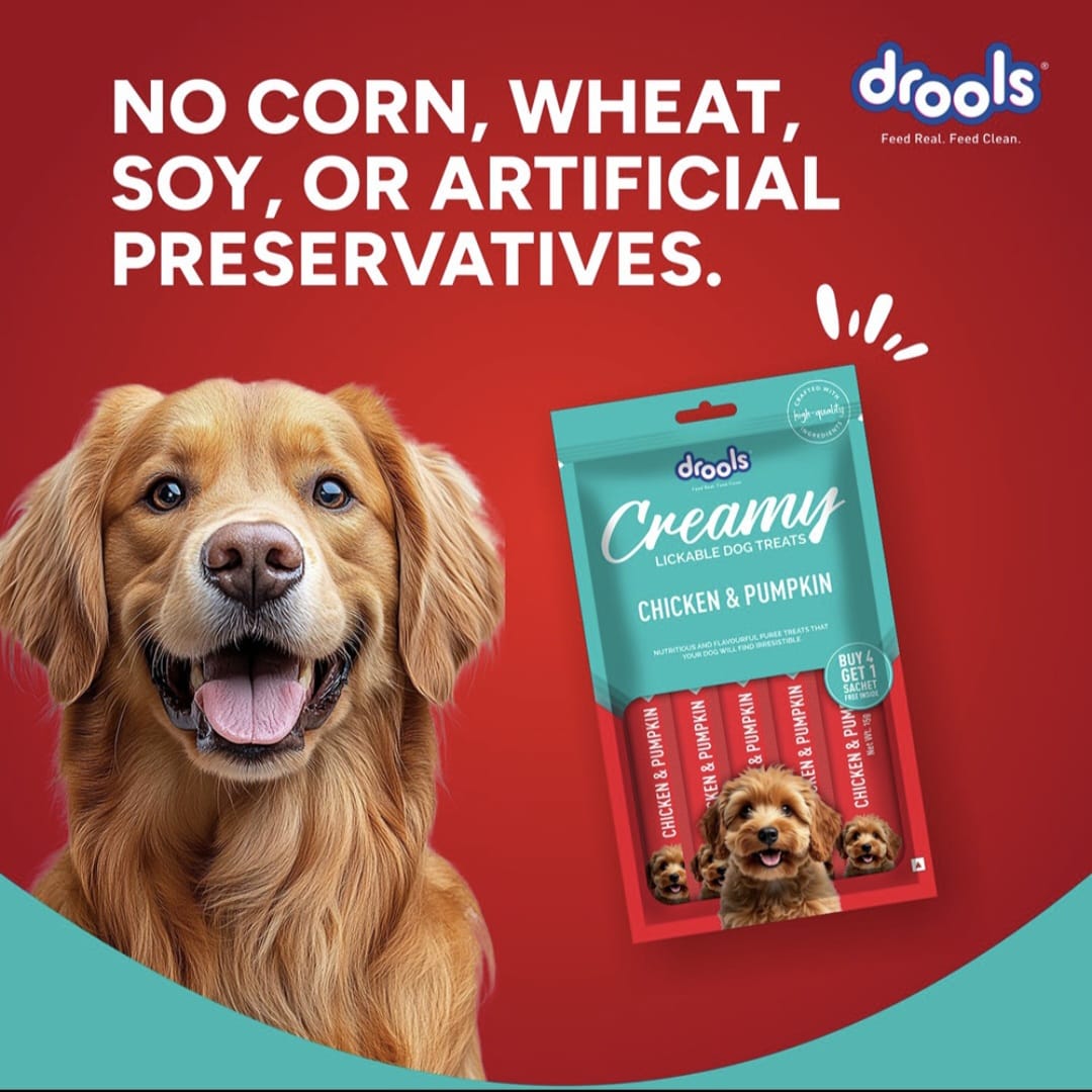 Drools Chicken & Pumpkin Creamy Dogs Treats