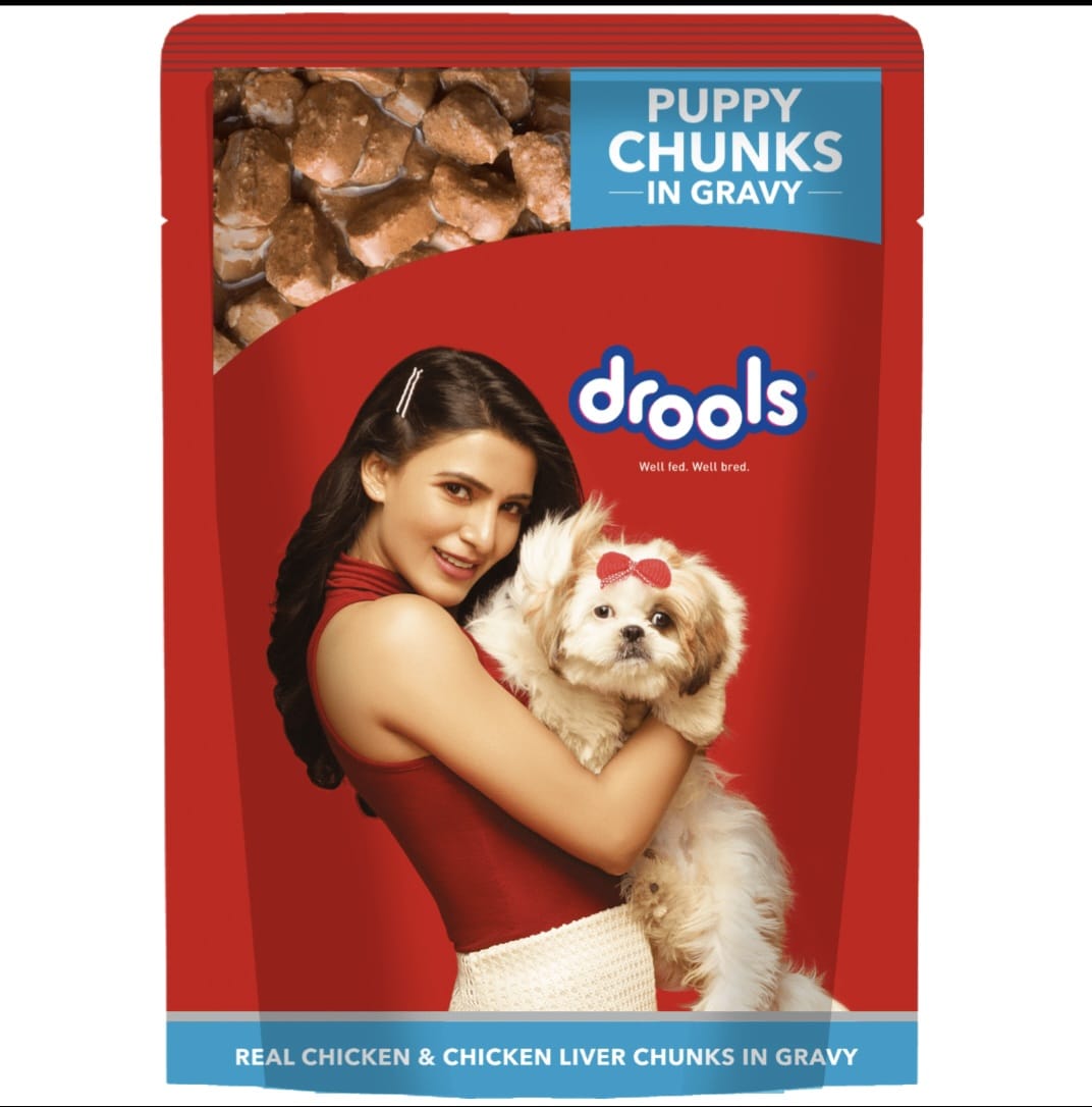 Drools Real Chicken & Chicken Liver Chunks in Gravy Puppy Dog Wet Food