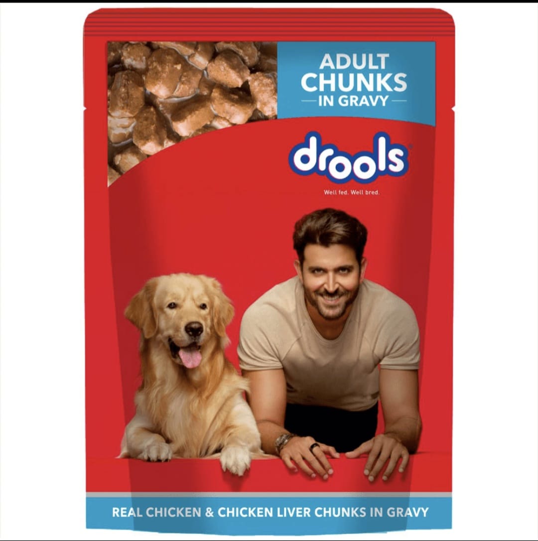 Drools Real Chicken & Chicken Liver Chunks in Gravy Adult Dog Wet Food