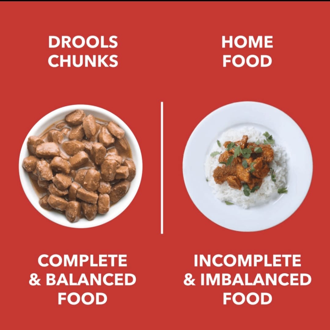 Drools Real Chicken & Chicken Liver Chunks in Gravy Adult Dog Wet Food