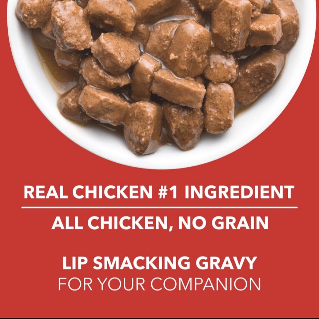 Drools Real Chicken & Chicken Liver Chunks in Gravy Adult Dog Wet Food